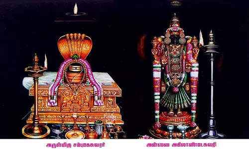 திருவானைக்காவல் ஜம்புகேஸ்வரர் அகிலாண்டேஸ்வரி கோவிலில் இன்று தைத்தெப்ப உற்சவம்