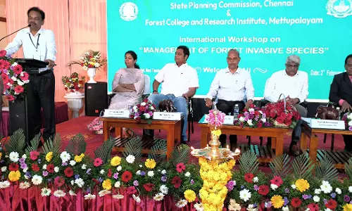 உள்நாட்டு தாவரங்களை விதைத்தால் வனவிலங்குகளின் உணவு சங்கிலி பாதுகாக்கப்படும்