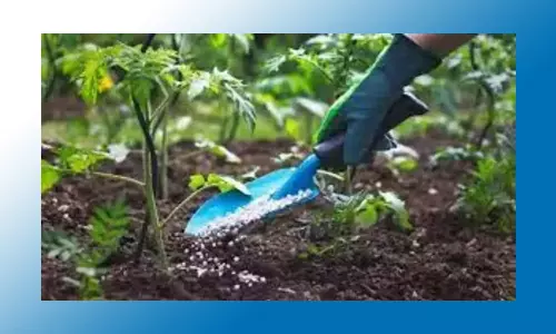 தோட்டக்கலை துறை இயக்குனர் ஆய்வு