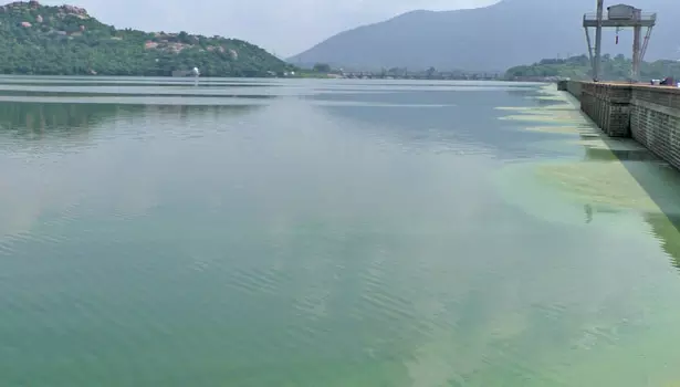 மேட்டூர் அணைக்கு நீர்வரத்து 1,616 கனஅடியாக அதிகரிப்பு மேட்டூர் அணைக்கு நீர்வரத்து 1,616 கனஅடியாக அதிகரிப்பு