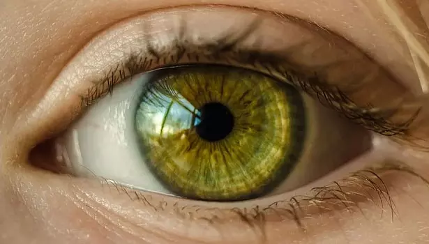 சென்னை நிறுவனத்தின் கண் மருந்தால் அமெரிக்காவில் 55 பேர் பாதிப்பு- ஒருவர் பலி சென்னை நிறுவனத்தின் கண் மருந்தால் அமெரிக்காவில் 55 பேர் பாதிப்பு- ஒருவர் பலி