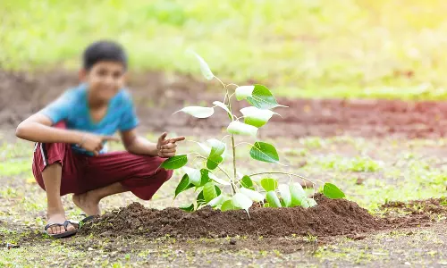 ஒரு குழந்தைக்கு 100 மரங்கள்: சிக்கிம் அரசு முடிவு