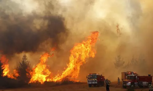 சிலியில் பரவி வரும் பயங்கர காட்டுத்தீயில் சிக்கி 13 பேர் பலி