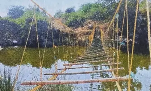 ஆற்றை கடந்தபோது 2 பேர் இறந்ததால் சொந்த பணத்தில் மரப்பாலம் கட்டிய விவசாயி