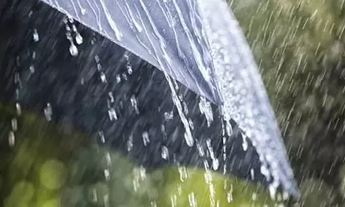 திருப்பூர்-பல்லடத்தில் சாரல் மழை