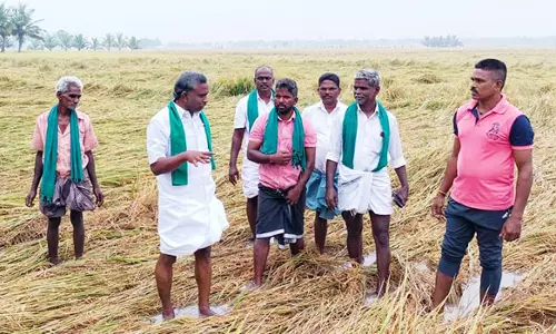 மழையால் பாதிக்கப்பட்ட சம்பா பயிர்களை கணக்கீடு செய்து உரிய இழப்பீடு வழங்க வேண்டும்- பி.ஆர்.பாண்டியன்