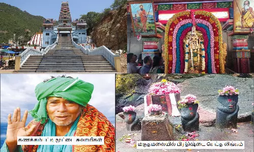 7-வது படை வீடாக பக்தர்களால் போற்றப்படும் மருதமலை சுப்பிரமணியசுவாமி திருத்தல வரலாறு