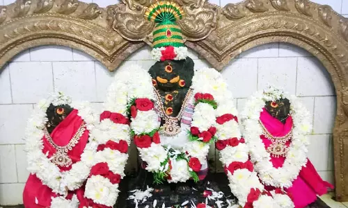 அன்னப்பசாமிக்கு சிறப்பு அபிஷேகம்