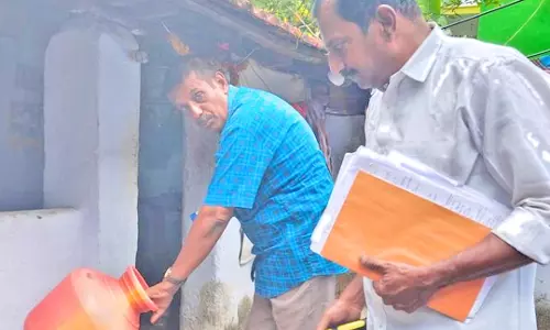 பாவூர்சத்திரம் அருகே டெங்கு காய்ச்சல் தடுப்பு பணி தீவிரம்