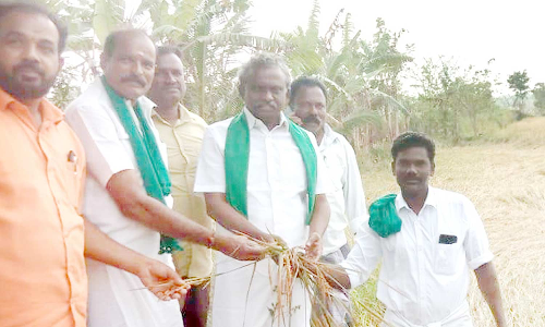 அரசு கூடுதல் ஈரப்பதத்துடன் நெல்லை கொள்முதல் செய்ய வேண்டும்- பி.ஆர்.பாண்டியன்