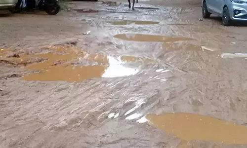 திருத்துறைப்பூண்டியில், தார்சாலை அமைத்து தர வலியுறுத்தல்