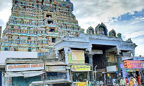 தைப்பூச திருவிழாவையொட்டி இன்று நெல்லையப்பர் கோவிலில் தீர்த்தவாரி நிகழ்ச்சி - திரளான பக்தர்கள் பங்கேற்பு