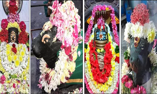 பரமத்தி வேலூர் பகுதி சிவன் கோவில்களில் நந்தி பெருமானுக்கு சிறப்பு அபிஷேகம்