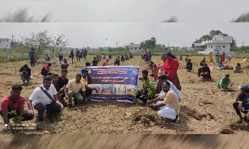 புவி வெப்பமயமாதலை தடுக்க ஒரே நேரத்தில் 100 மரக்கன்றுகளை நட்டு வைத்த கல்லூரி மாணவர்கள்