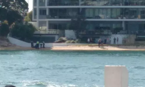 ஆஸ்திரேலியாவில் டால்பின்களுடன் நீந்த ஆற்றில் குதித்த சிறுமி... அடுத்து நடந்த பயங்கரம்