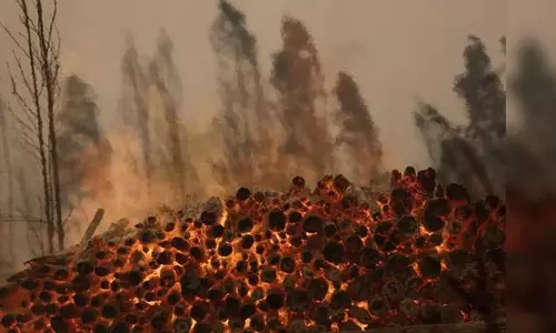 சிலியில் பரவி வரும் காட்டுத்தீ - பலி எண்ணிக்கை 22 ஆக அதிகரிப்பு