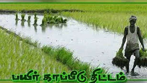 பரமத்தி வட்டாரத்தில் பயிர் சாகுபடி சிறப்பு திட்டம் தொடக்கம்