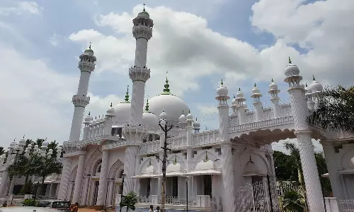 பீர்முகமது சாகிபு ஒலியுல்லா ஆண்டு பெருவிழா