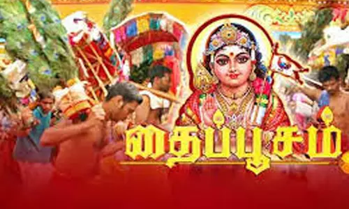 தைப்பூச திருவிழா: முருகன் கோவில்களில் சிறப்பு பூஜைகள்