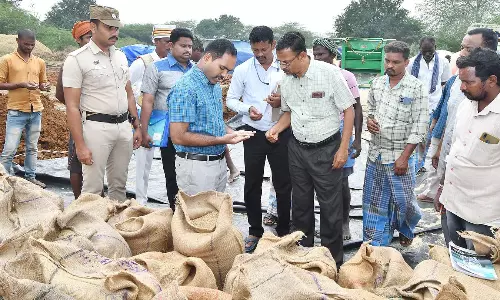 விவசாயிகளிடமிருந்து 3,162 மெட்ரிக் டன் நெல் கொள்முதல்