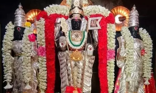 தைப்பூசமும்... விரதமும்... பழனிமலையும்...