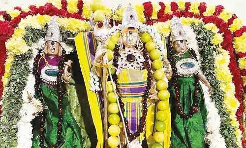 மங்கலம் அருகே மலைக்கோவில் குழந்தை வேலாயுதசுவாமி கோவில் தேரோட்டம் - பக்தர்கள் குவிந்தனர்