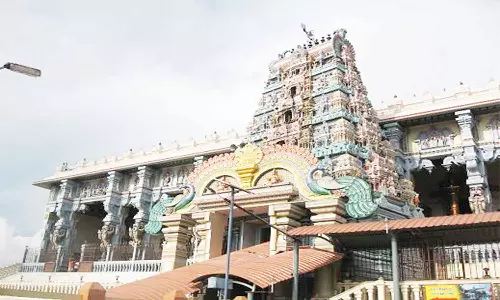ரத்தினகிரி பாலமுருகன் கோவிலில் தைப்பூச விழா