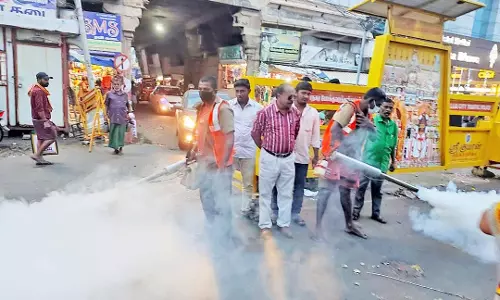 டெங்கு கொசு உற்பத்தியாவதை தடுக்க டவுன் ரத வீதிகளில் கொசு மருந்து அடிக்கும் பணி தீவிரம்