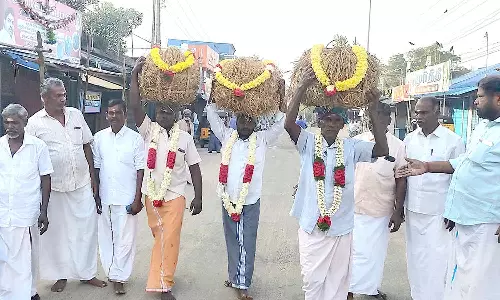 வேதாரண்யம் வேதாரண்யேஸ்வரர் கோவிலில் நெல் கோட்டை வழங்கும் நிகழ்ச்சி