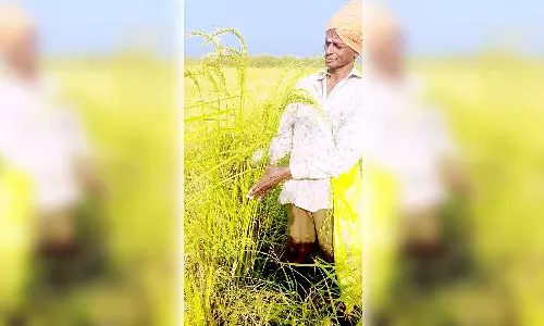 சீரக சம்பா ரகத்தை விதைப்பு செய்து அதிக விளைச்சல் கண்ட விவசாயி