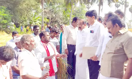 பாதிக்கப்பட்ட பயிர்களுக்கு முழு இழப்பீடு வழங்க வேண்டும்; அமைச்சரிடம் வலியுறுத்தல்