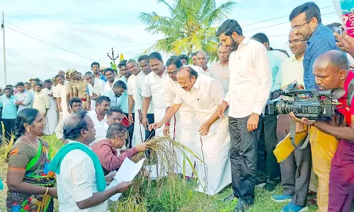 மழையால் பாதிக்கப்பட்ட பயிர்களை அமைச்சர் ஆய்வு