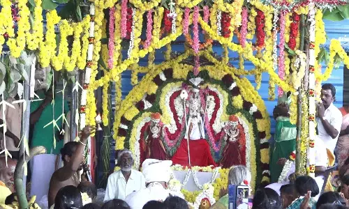 தணிகைமலை பாலமுருகன் கோவிலில் தைப்பூச திருக்கல்யாண உற்சவம்