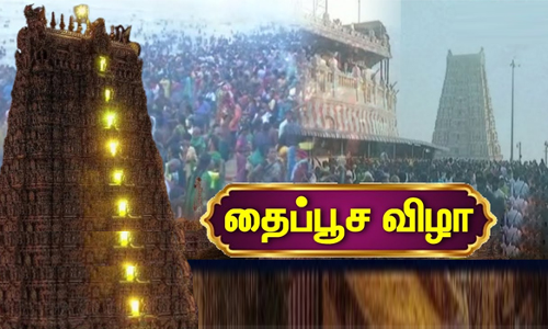 நாமக்கல் பகுதிகளில் தைப்பூச விழா உற்சாகமாக கொண்டாட்டம்