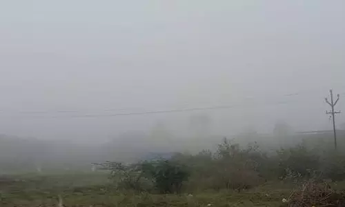 வாழப்பாடி பகுதியில் காலை 9 மணி வரை கடும் பனிப்பொழிவு