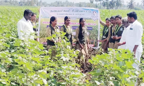 விவசாயிகளுக்கு ஆலோசனை வழங்கிய மாணவிகள்