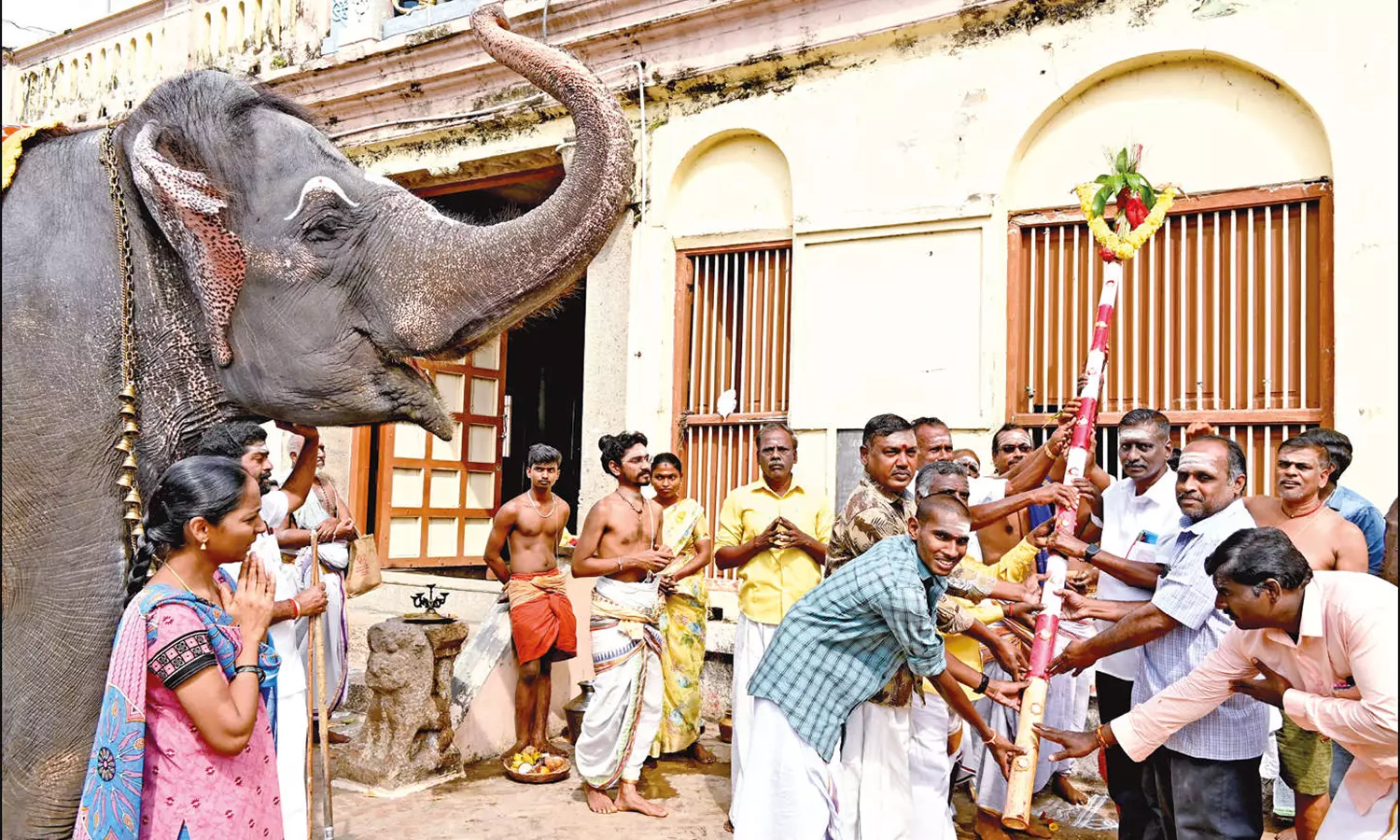 கும்பகோணம் ஆதி கும்பேஸ்வரர் கோவிலில் மாசி மக விழா பந்தக்கால் முகூர்த்தம் கும்பகோணம் ஆதி கும்பேஸ்வரர் கோவிலில் மாசி மக விழா பந்தக்கால் முகூர்த்தம்