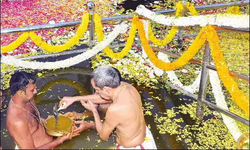 தை திருவிழா: நாகராஜா கோவிலில் சாமிக்கு ஆராட்டு