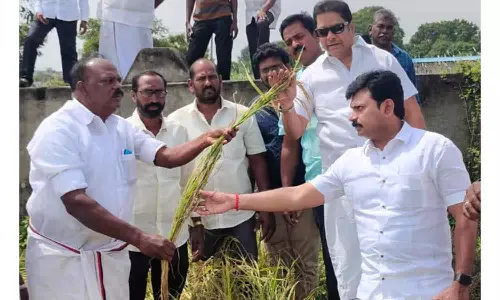 காரைக்கால் மாவட்ட விவசாயிகளுக்கு ஹெக்டேருக்கு ரூ.20 ஆயிரம் நிவாரணம்-தி.மு.க. வலியுறுத்தல்