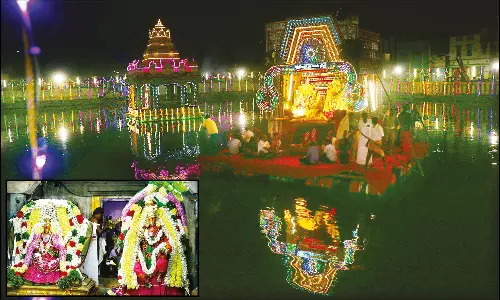 நெல்லையப்பர் கோவில் தைப்பூச தெப்பத்திருவிழா: திரளான பக்தர்கள் தரிசனம்