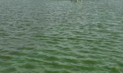 கடம்பத்தூர் அருகே கூவம் ஆற்றின் குறுக்கே புதிய தடுப்பணை- தண்ணீர் வீணாவதை தடுக்க நடவடிக்கை