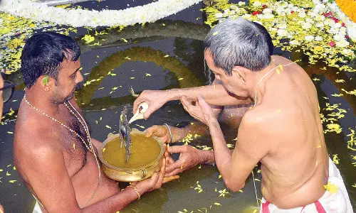 தை திருவிழாவையொட்டி நாகராஜா கோவிலில் சாமிக்கு ஆராட்டு