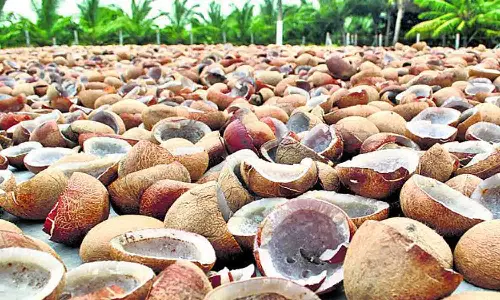 காங்கேயம் ஒழுங்குமுறை விற்பனை கூடத்தில் ரூ.40 ஆயிரத்துக்கு கொப்பரை விற்பனை