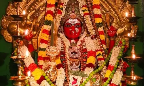 பழனி மாரியம்மன் கோவில் மாசித்திருவிழா 17-ந்தேதி தொடங்குகிறது