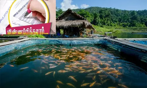மீன் வளர்க்க மானியத்துடன் கூடிய நிதி உதவி