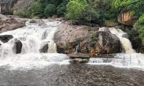 வன உயிரினங்கள் கணக்கெடுப்பு பணி: மணிமுத்தாறு-அகஸ்தியர் அருவிக்கு செல்ல சுற்றுலாப்பயணிகளுக்கு தடை
