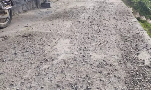 ஜல்லிக்கற்கள் பெயர்ந்த புதிய சிமெண்டு சாலை