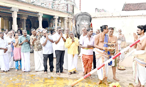 கும்பகோணம் ஆதி கும்பேஸ்வரர் கோவிலில் மாசி மக விழா பந்தக்கால் முகூர்த்தம்