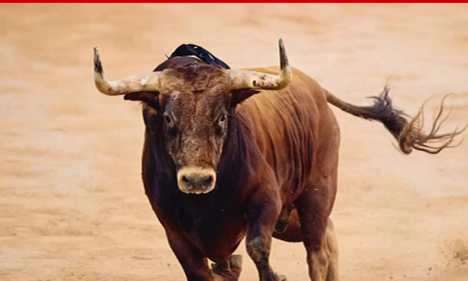 எருது விடும் விழாக்களுக்கு 3 நாட்களுக்கு  முன் ஏற்பாடுகளை முடிக்க வேண்டும்