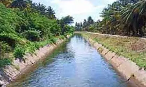 பி.ஏ.பி., வாய்க்காலில் தண்ணீர் திடீர் நிறுத்தம்